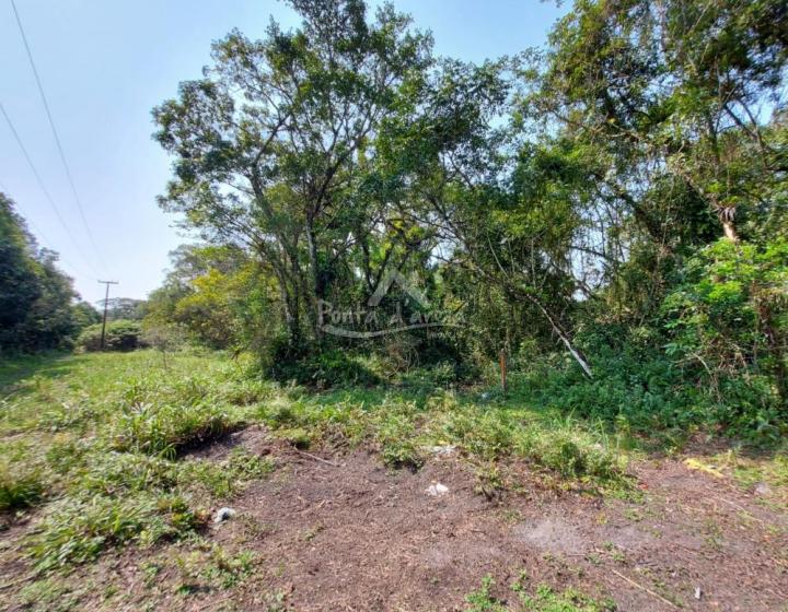 Terrenos em Pontal do SUL