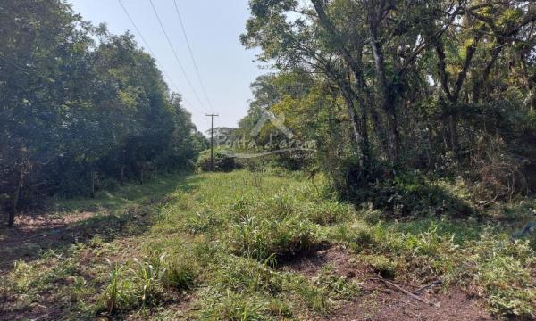 EXCELENTE TERRENO - PONTAL DO SUL